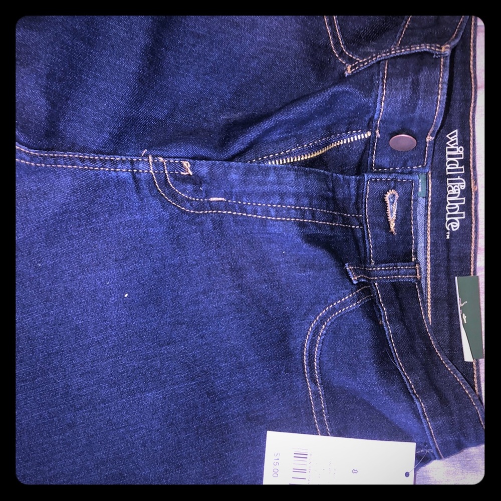Wild Fable High Waist Skinny Jeans